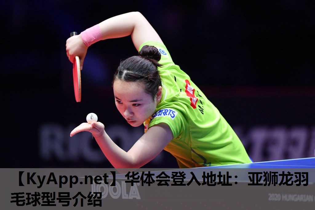 亚狮龙羽毛球型号介绍 亚狮龙羽毛球型号介绍