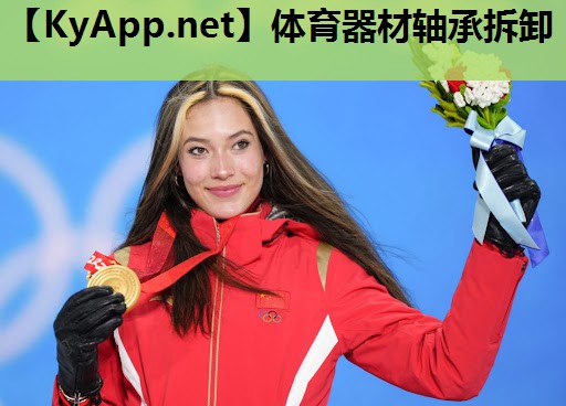 体育器材轴承拆卸 体育器材轴承拆卸