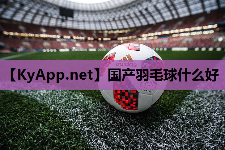 国产羽毛球什么好 国产羽毛球什么好