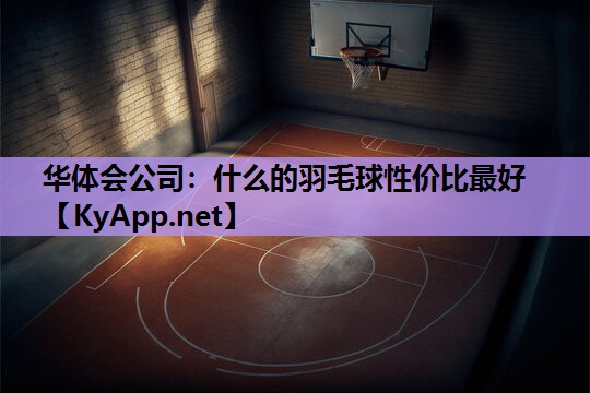 什么的羽毛球性价比最好 什么的羽毛球性价比最好