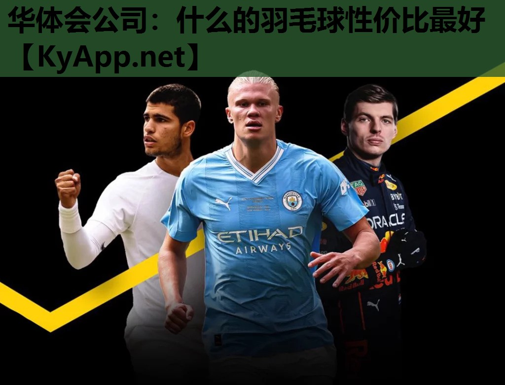 什么的羽毛球性价比最好 什么的羽毛球性价比最好