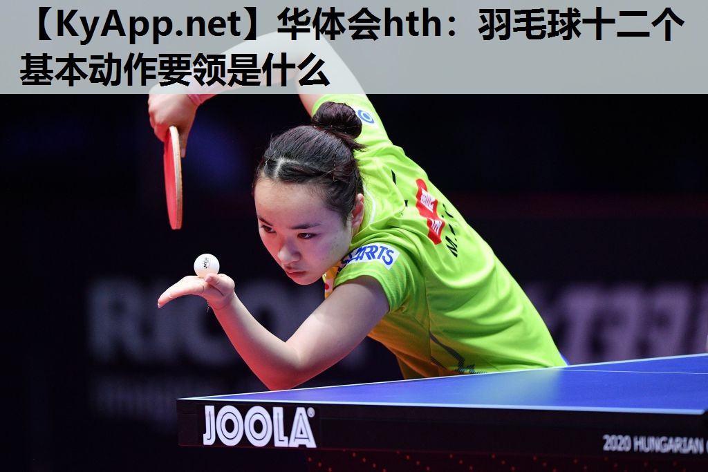 羽毛球十二个基本动作要领是什么 羽毛球十二个基本动作要领是什么