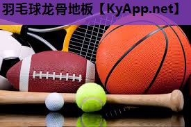 羽毛球龙骨地板 羽毛球龙骨地板