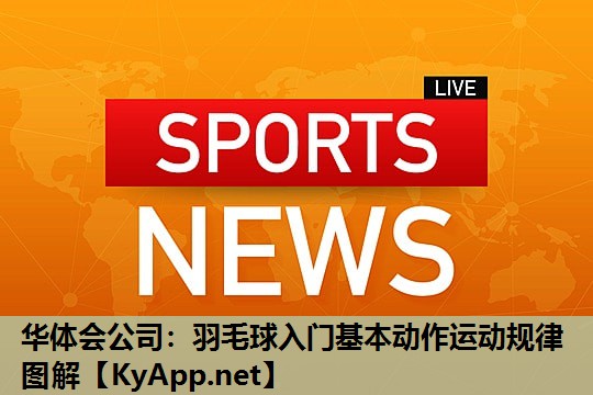 羽毛球入门基本动作运动规律图解 羽毛球入门基本动作运动规律图解