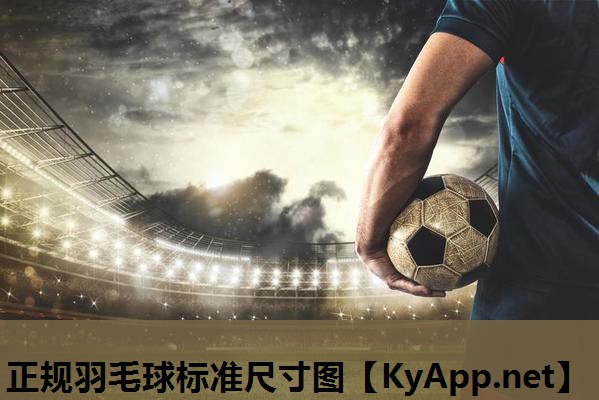 正规羽毛球标准尺寸图 正规羽毛球标准尺寸图