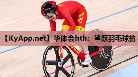 鲨跃羽毛球拍 鲨跃羽毛球拍