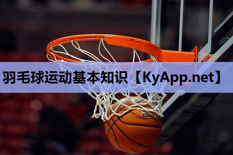 羽毛球运动基本知识 羽毛球运动基本知识