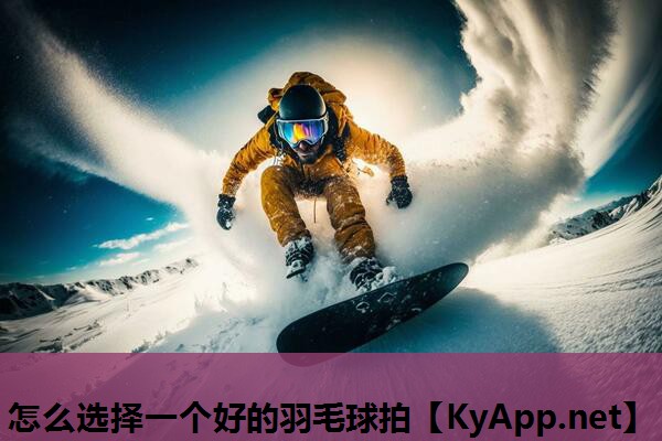 怎么选择一个好的羽毛球拍 怎么选择一个好的羽毛球拍